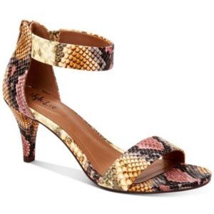 Style & Co Paycee Rainbow Snake